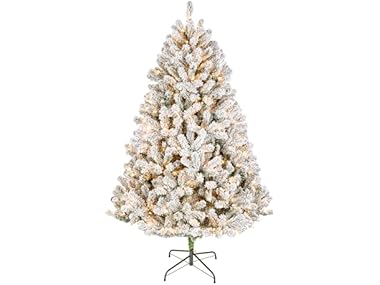 6 ft Pre-Lit Flocked Acacia Artificial Tree
