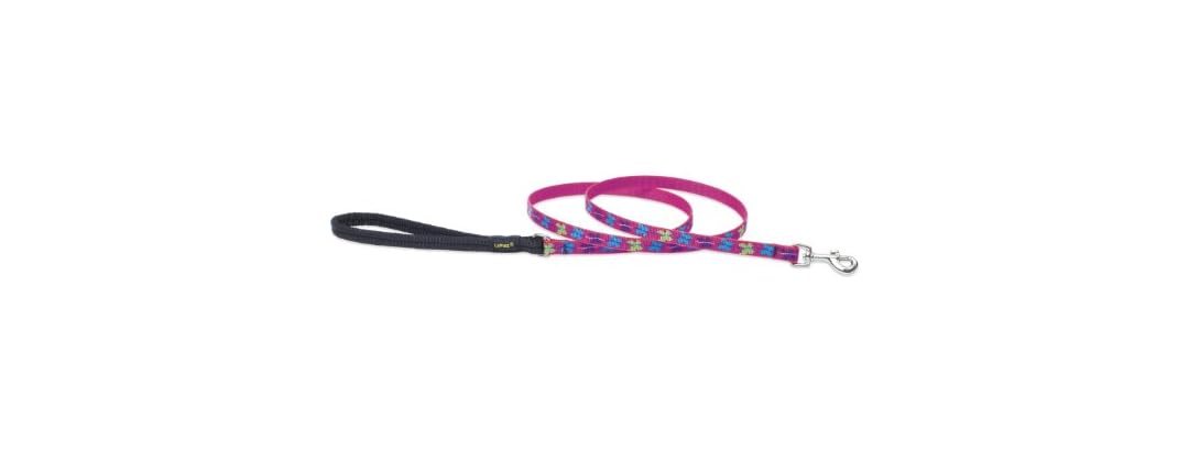 LupinePet Originals 1/2" Wing It 4-foot Padded Leash