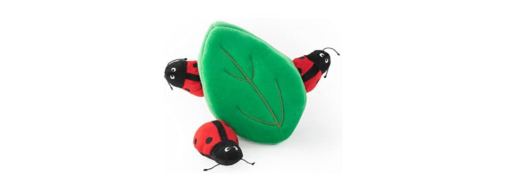 Burrow Ladybugs Leaf
