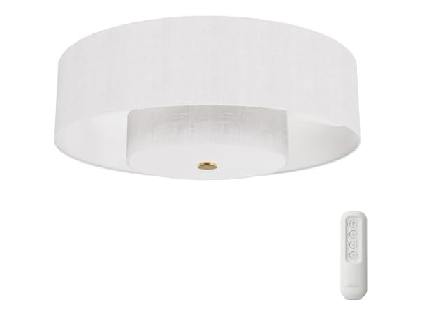 Hunter Fan 30" Fandelier w/ Light & Remote