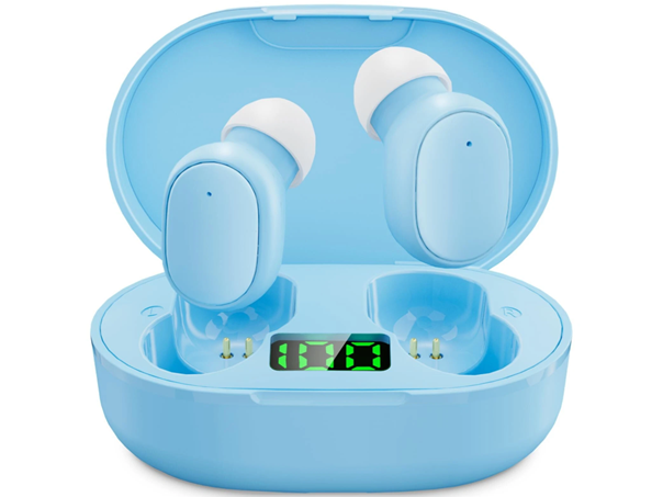 USB-C Rechargeable Wireless Earbuds