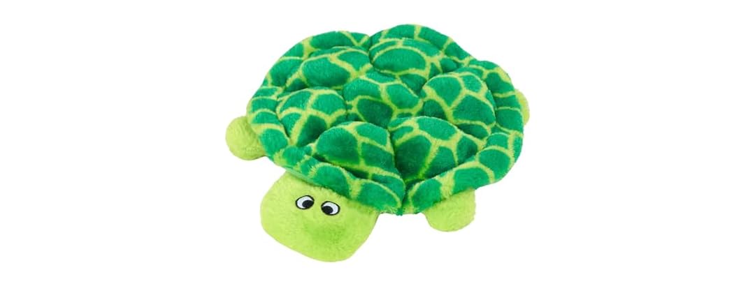 Crawler Turtle 10in