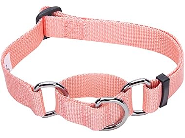 Blueberry Pet Essentials Martingale Safety Collar
