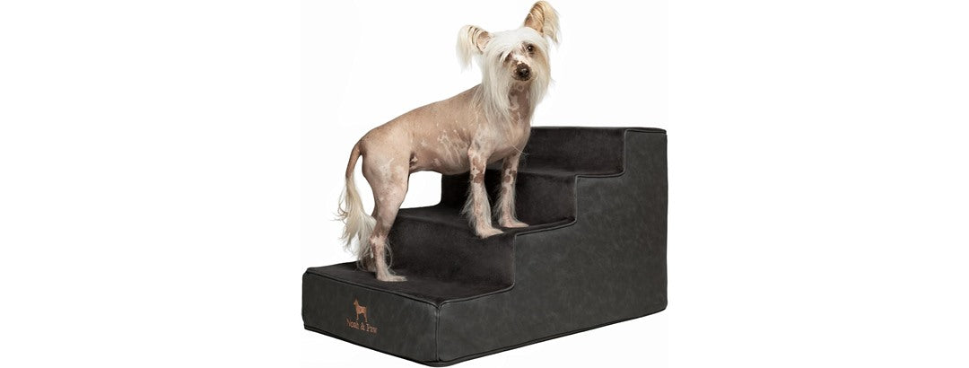 Noah & Paw Dog Stairs- 4 Steps