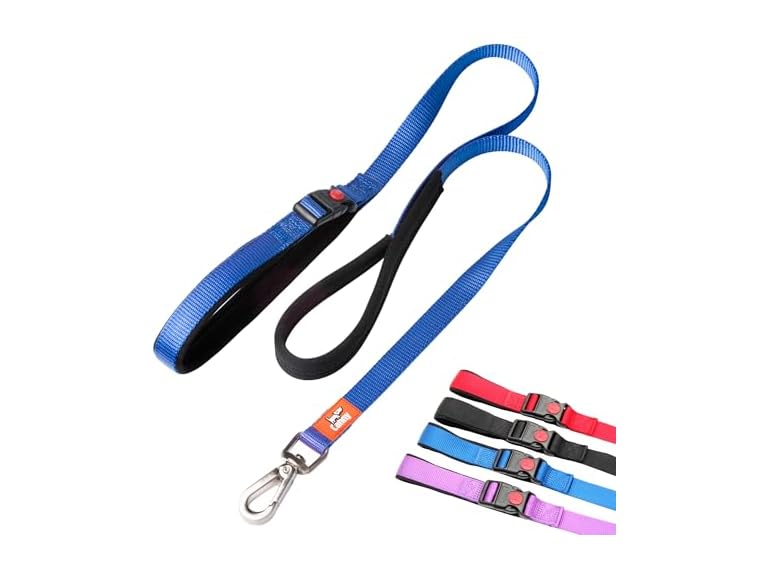 Canny Connect Leash - Anti Pull Dog Leash, Blue