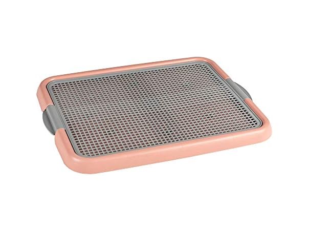 Indoor Dog Potty Training Toilet Tray Pad Hol