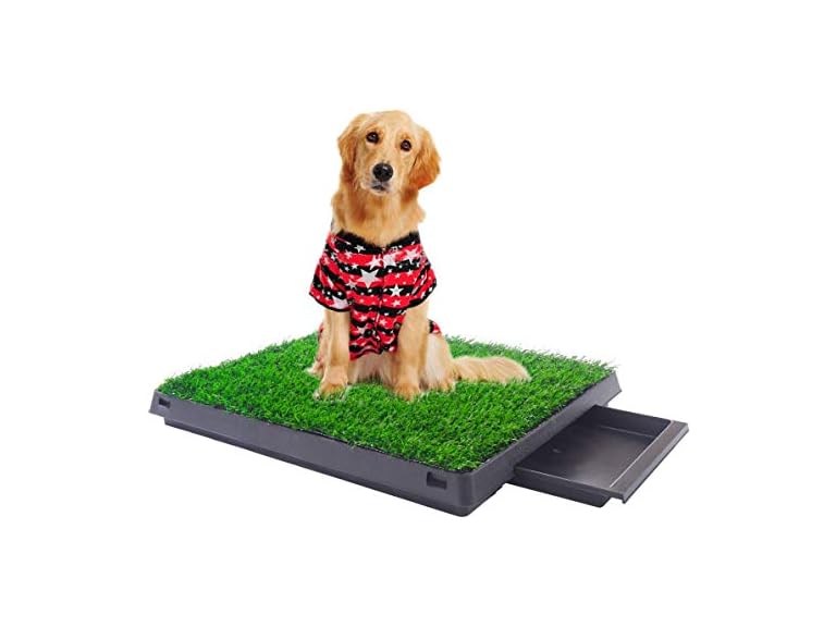 Sandinrayli Indoor Outdoor Dog Puppy Potty Trainer