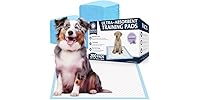 American Kennel Club Scented Puppy Training Pad