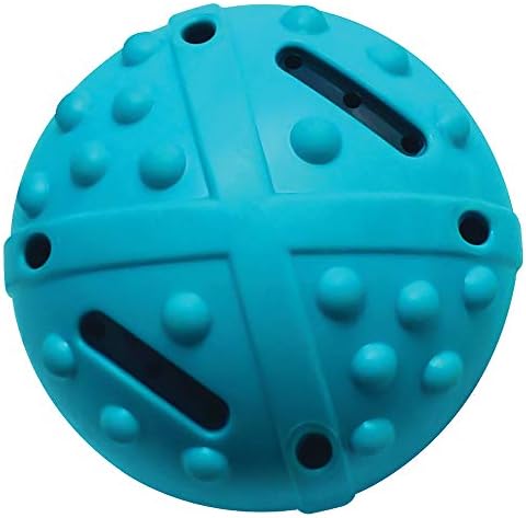 Champion Companion TPR Squeaky Bouncing Ball