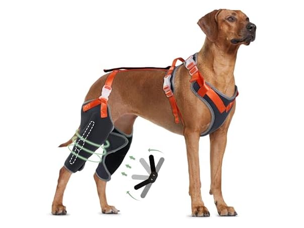 LISPOO Dog Knee Brace for ACL/CCL Injuries,To