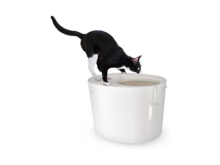 Iris Ohyama, Plastic Litter Box with Top Entr