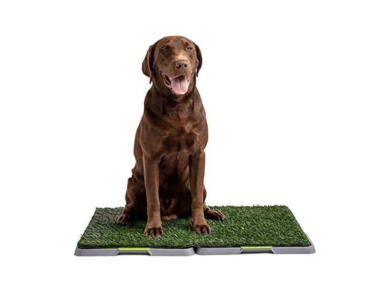 Silver Paw 3-Layer Washable Pee Pads for Dogs