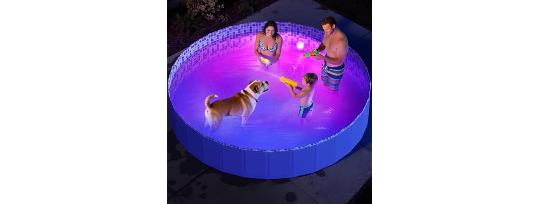 Pawtners Foldable Kiddie Pool with Light