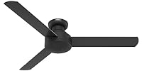 Hunter Fan Co. 52" 3-Blade Ceiling Fan