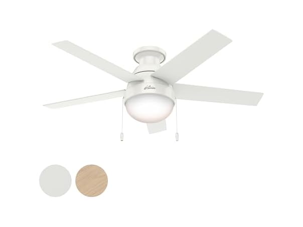 Hunter Fan 46" Contemporary w/ Light