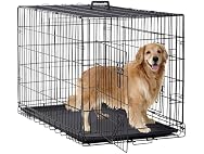 BestPet | Dog Crate | 48" | Black | Foldable Metal