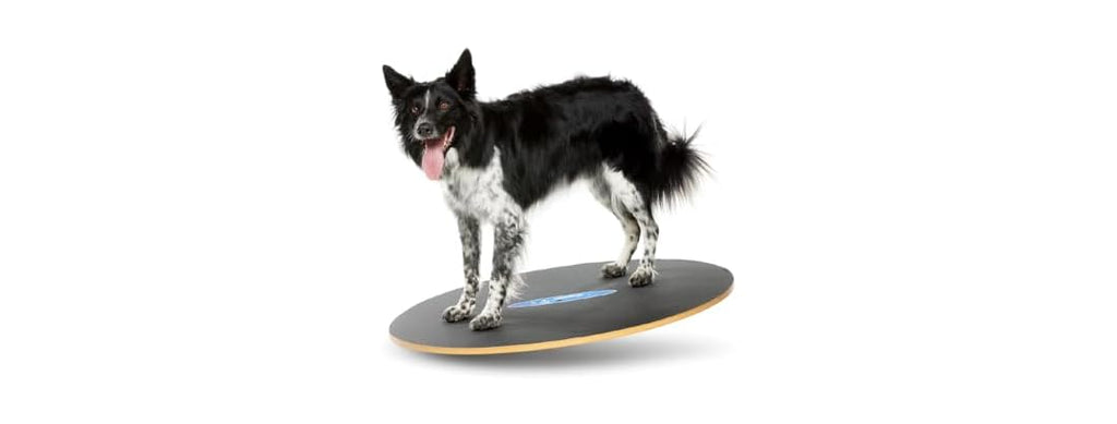 FitPAWS Wobble Board - Dog Balance Training E