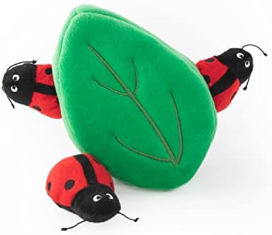 Burrow Ladybugs Leaf