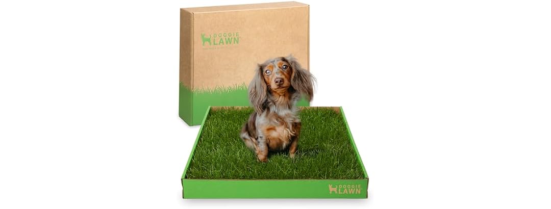 DoggieLawn Real Grass Puppy Pee Pads- 24 x 16