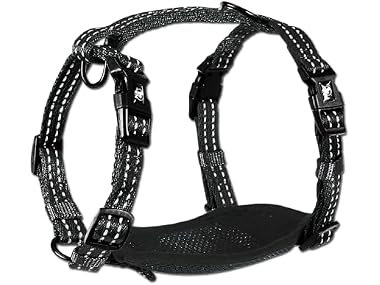 Alcott Essentials Adventure Pet Harness, Small
