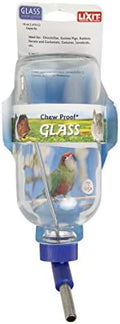 LIXIT Chew Proof Glass Water Bottle 16oz