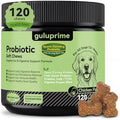Probiotics for Dogs