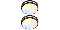 GoBright 2-Pack 10" Bathroom Light Fixture Ceiling Mount
