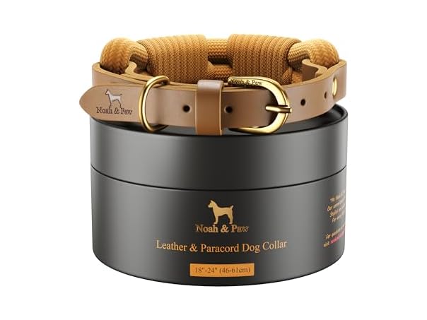 NOAH & PAW Dog Collar, Genuine Leather with Paracord