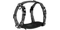 Alcott Essentials Adventure Pet Harness, Small
