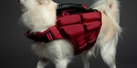 NOAH & PAW Dog Life Jacket- XSmall