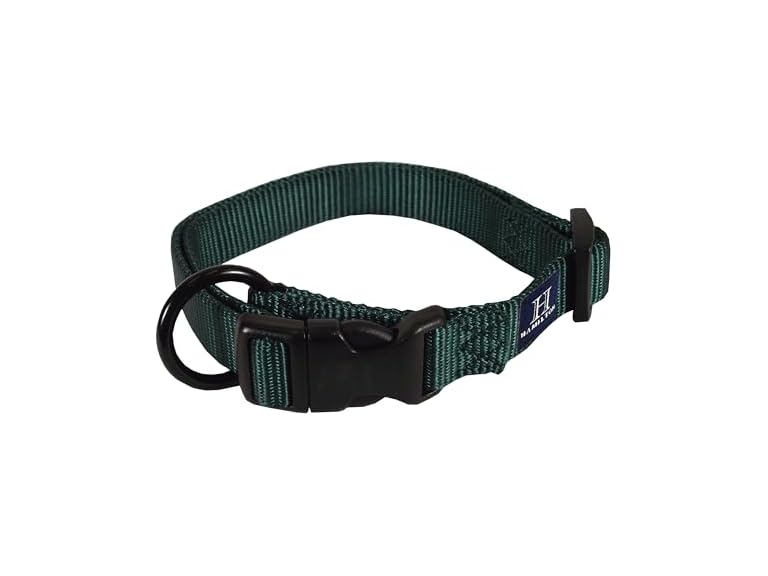 Hamilton Adjustable Nylon Dog Collar, Dk Green
