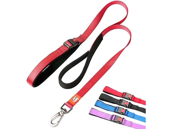 Canny Connect Leash - Anti Pull, Red