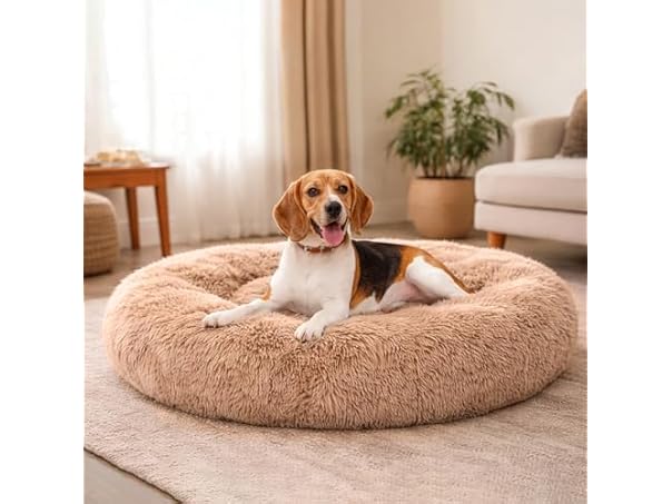 Dog & Cat Bed for Indoor Cats Calming Donut Bed