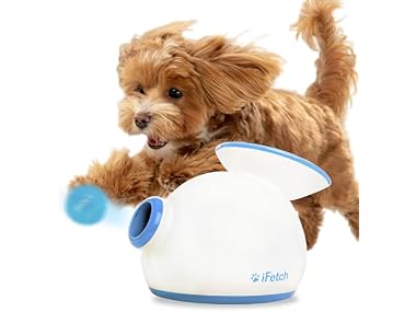 iFetch Automatic Ball Launcher for Small Dogs