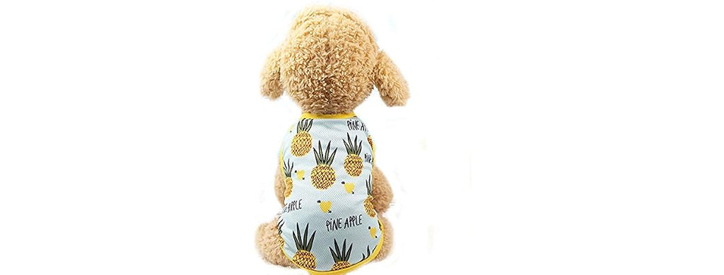 Pet Clothes,Lovely Summer Fruit Dog T-Shirt P