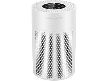 MEGAWISE HHAP0006 Air Purifier