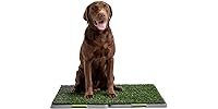Silver Paw 3-Layer Washable Pee Pads for Dogs