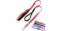 Canny Connect Leash - Anti Pull, Red
