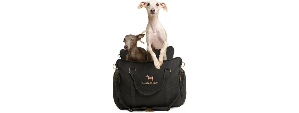 NOAH & PAW Canvas Dog Car Seat Carrier