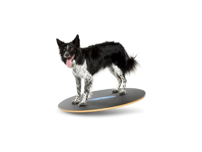 FitPAWS Wobble Board - Dog Balance Training E