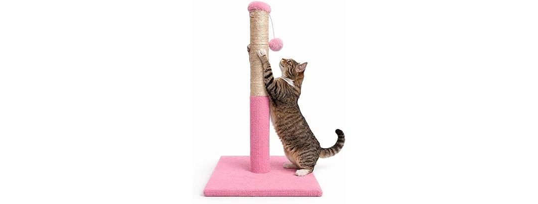 ASPCA Cat Scratching Post for Indoor Cats- Pink