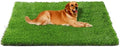 Fhiny Artificial Grass Rug