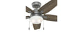 Hunter Fan 44" w/ Light and Pull Chain
