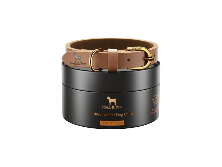 NOAH & PAW Genuine Leather Dog Collar