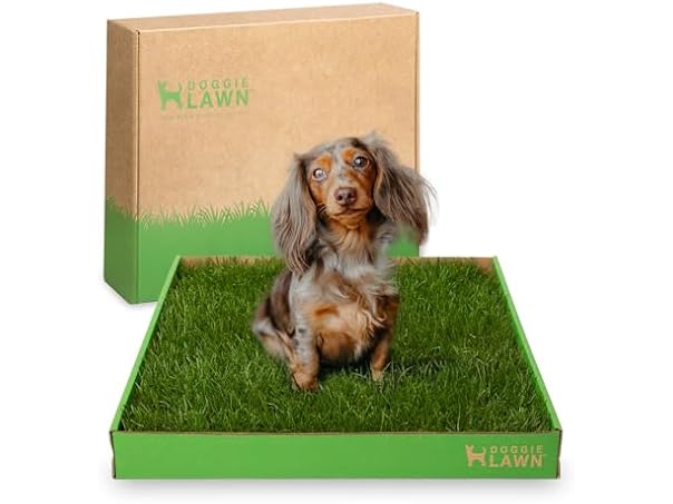 DoggieLawn Real Grass Puppy Pee Pads- 24 x 16