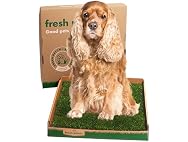 Fresh Patch Real Grass Patch for Dogs, Cats,
