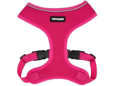 Voyager Aerolite Over The Head Dog Harness
