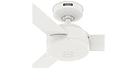 Hunter Fan 44" Indoor Fan, 3 Blades