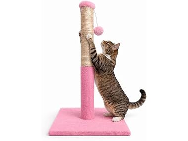 ASPCA Cat Scratching Post for Indoor Cats- Pink