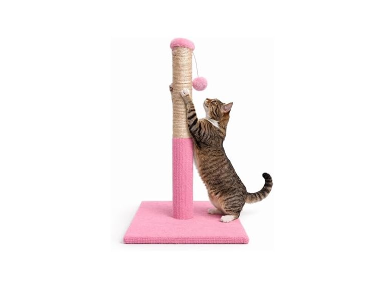 ASPCA Cat Scratching Post for Indoor Cats- Pink